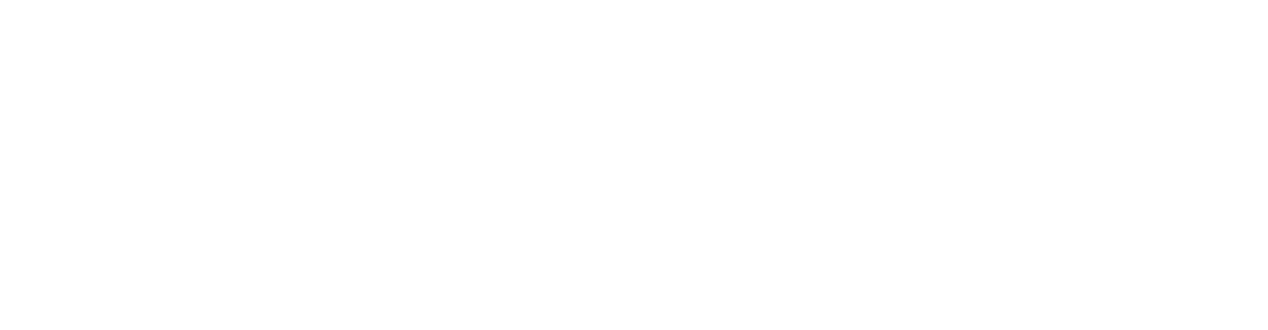Travellet Tech